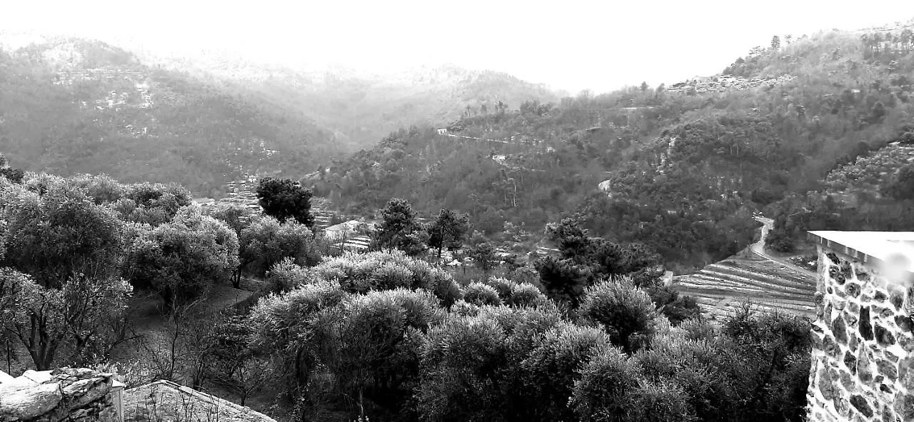 B&B L' Antica Macina Quiliano Bed & Breakfast