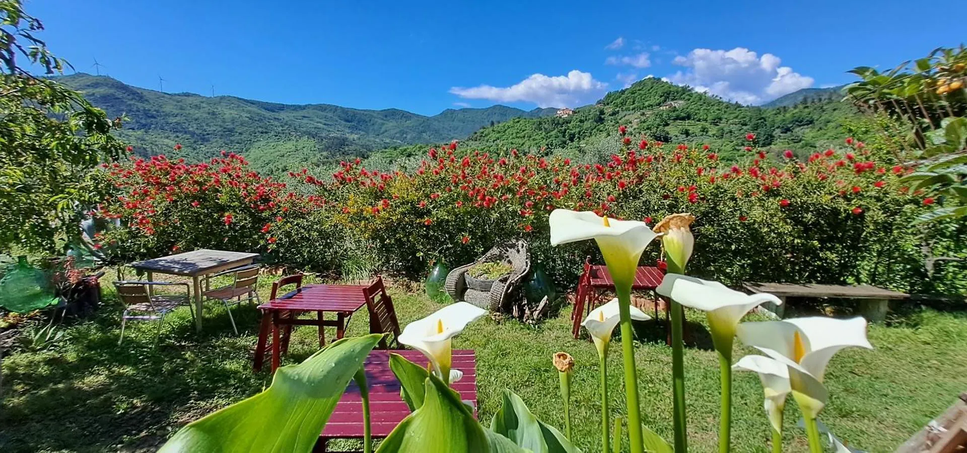 Bed & Breakfast B&B L' Antica Macina Quiliano Italy