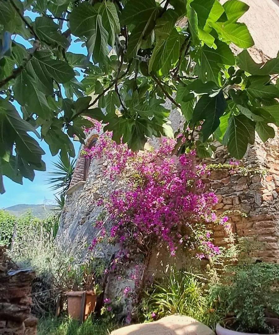 Bed & Breakfast B&B L' Antica Macina Quiliano