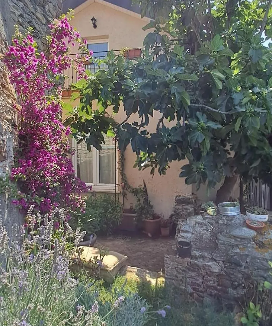 Bed & Breakfast B&B L' Antica Macina Quiliano
